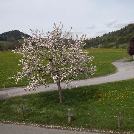 Ferienwohnung Annele Hittisau Luaran gambar